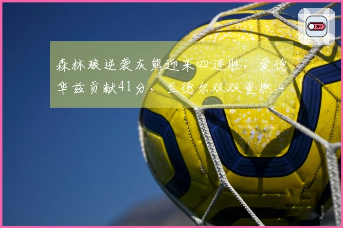 森林狼逆袭灰熊迎来四连胜，爱德华兹贡献41分，兰德尔双双重燃斗志