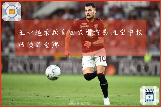 王心迪荣获自由式滑雪男性空中技巧项目金牌