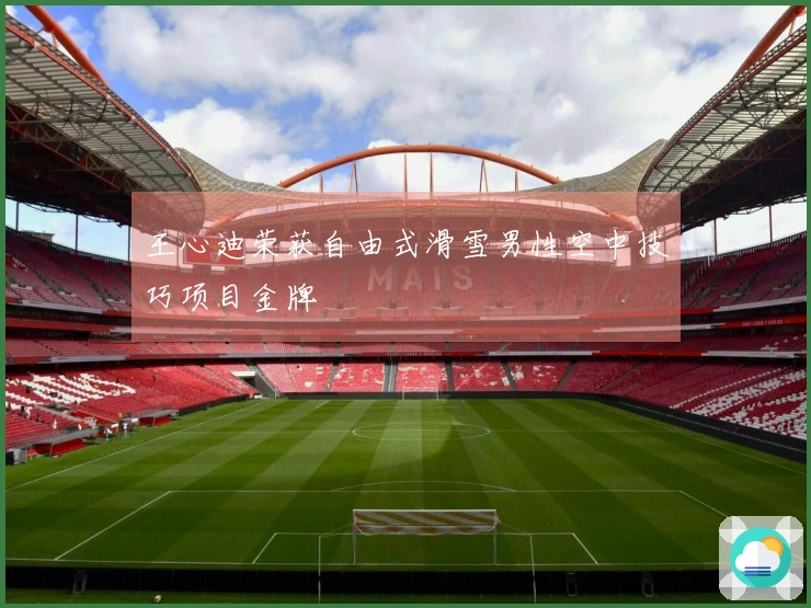 王心迪荣获自由式滑雪男性空中技巧项目金牌